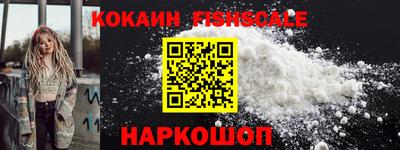 тгк Бийск