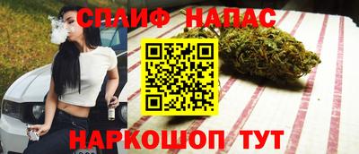 тгк Бийск