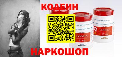 тгк Бийск