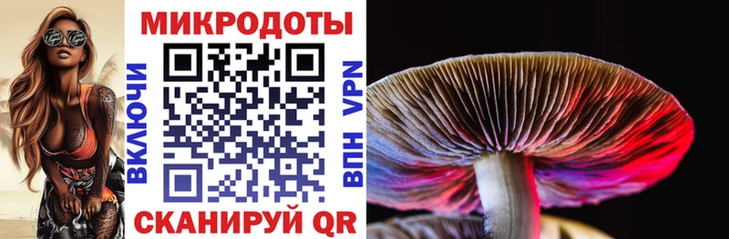 мега как зайти Великий Устюг Галлюциногенные грибы прущие грибы цена наркотик
