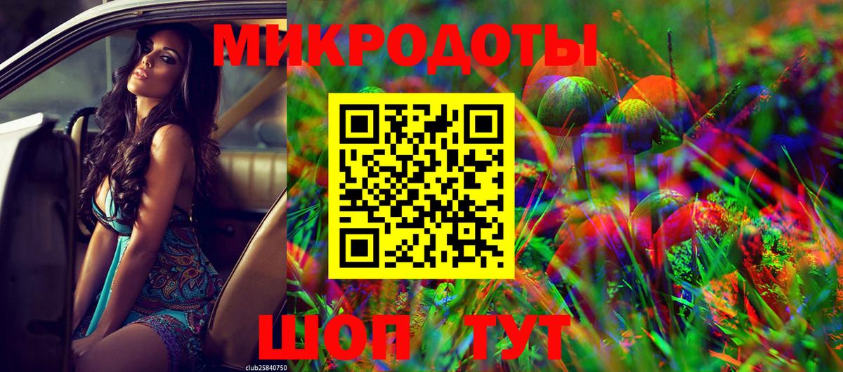 Псилоцибиновые грибы прущие грибы Великий Устюг