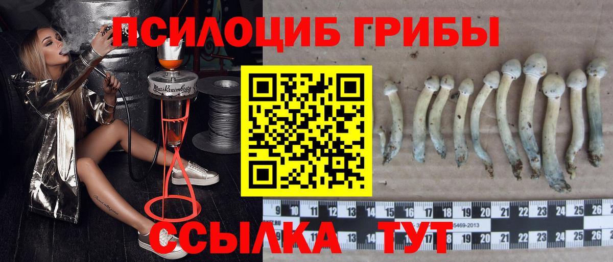 Галлюциногенные грибы ЛСД  Вход с VPN  Галлюциногенные грибы GOLDEN TEACHER  Великий Устюг 